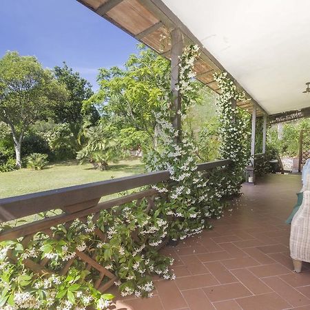 Villa Monserrato - Goelba Porto Azzurro Dış mekan fotoğraf