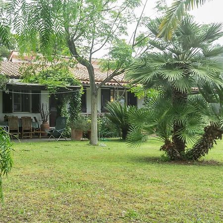 Villa Monserrato - Goelba Porto Azzurro Dış mekan fotoğraf